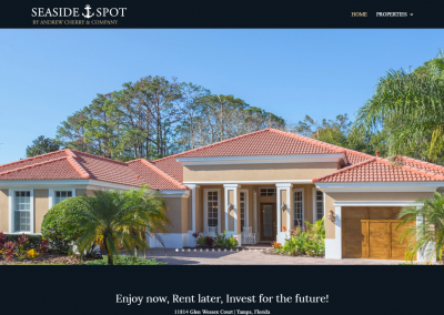 Real Estate Florida Andrew Cherry and Company Seaside Spot Clearwater Beach Florida Website Design Online Marketing SEO Website Build Software Development